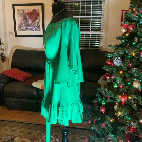 ee:some Solid Green Chiffon midiDress - Picture 4 of 9
